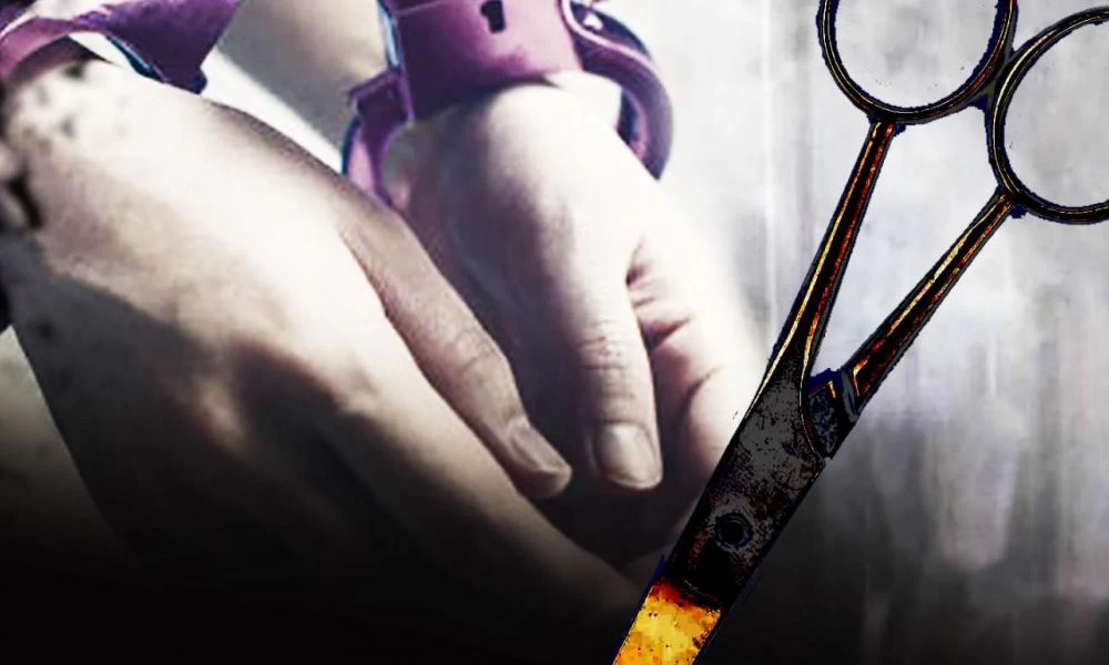  Έκοψε το πέος του συντρόφου της και...το πέταξε στην τουαλέτα